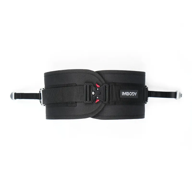 [000000000007] PRODIGY IMBODY Lumbar Belt